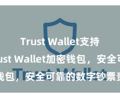 Trust Wallet支持中文吗 Trust Wallet加密钱包，安全可靠的数字钞票责罚器具